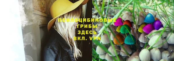марки lsd Богданович