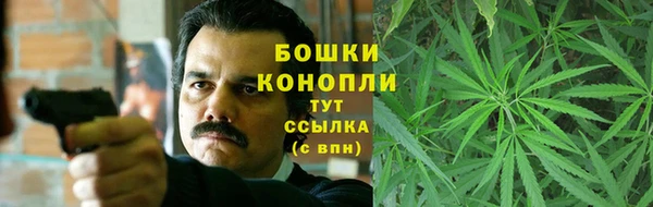 PSILOCYBIN Корсаков