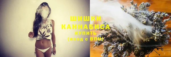 дмт Богородицк