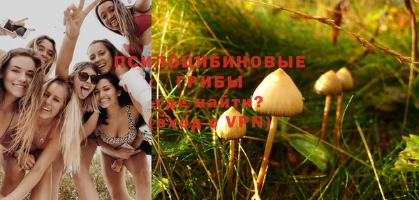 дмт Богородицк
