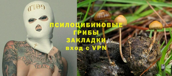дмт Богородицк