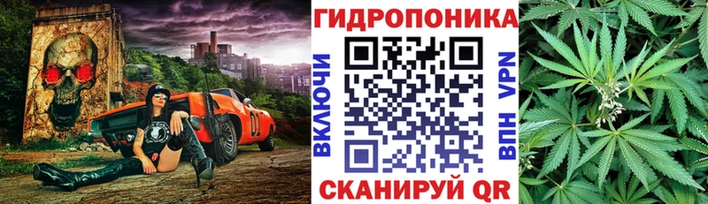 Конопля OG Kush  blacksprut   Красновишерск 